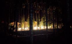 Fly Wing by Triptastic Holidaze