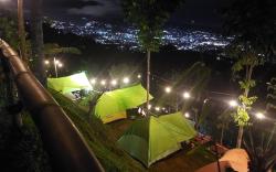 ZOYA HILLS