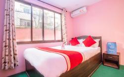 OYO 137 Hotel Pranisha Inn