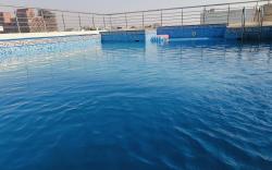 Ardaas homestay