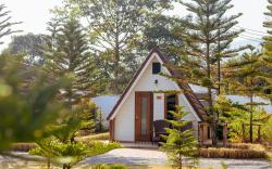 TC COZY KHAOYAI