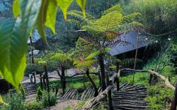 ĐÔNG Homestay 