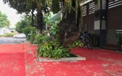 Villa Thành An