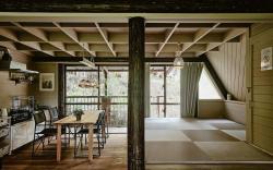 Log in Okinawa -native~