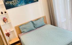 Private Apartment. Automatic Check-in-Out Vinhomes 2610