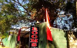 Mango tree hotel & restaurant 