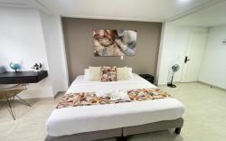 H102-Apartaestudio loft en la Castellana Norte