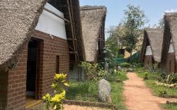 The Imagination Auroville