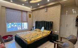 Homely stay 4