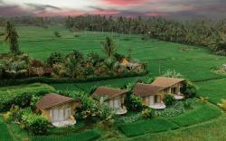 IPIAN Cinta by GenuineHost 