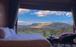 Rose Farm Sapa