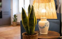 Wonderful in the historic center "La Scoletta"