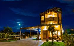 colorful wooden horse homestay