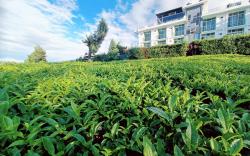 Sunvalley Homestay Coonoor