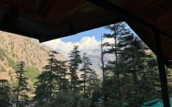 Blue Moon Homestay Kasol