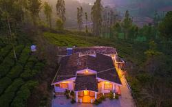 Silver Dale Tea Estate Bungalow Ooty by VOYE HOMES