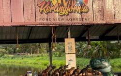 Kerlingfornia Pond View Homestay