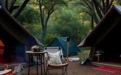 Monoshez Bush Camp