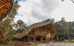 KaatiKaadu