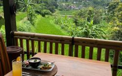 The Manja Retreat Lovina