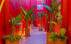 Casona Quetzal