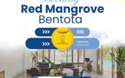 Red Mangrove