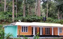 Raintree Cottage