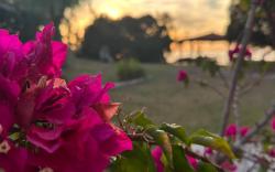 Genari Beach Apartments- Sea View Apartment