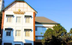 Marigold Business Hotel 