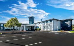 Spark by Hilton Williams