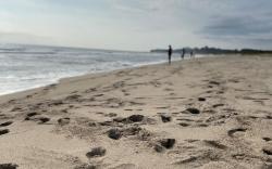 ELM On The Beach