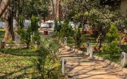 Aranyeh the people tree resort