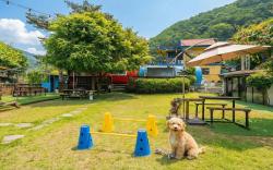 Gapyeong Venezia Dog Pension
