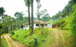 The Nest bettathur, Coorg