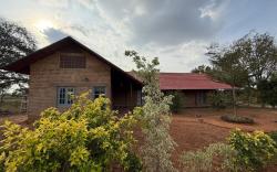 Ficus by Kilukka Farms