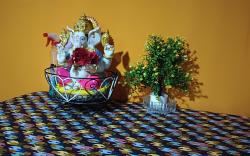 Mountain view homestay Darjeeling 