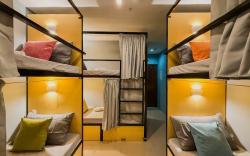 Goofy Ants Hostel