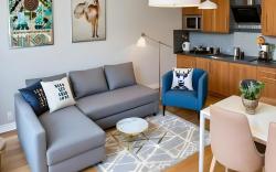 Cracow Copernican Apartment #2