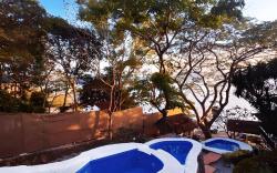 Vida Pacifica! Hidden Paradise by the Sea