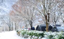 Riverside Forest Pension & Camping