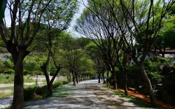Riverside Forest Pension &amp;amp; Camping