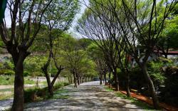 Riverside Forest Pension & Camping