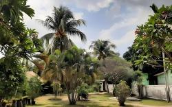 New Taman Sari Homestay