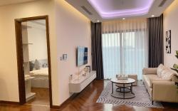 One Bedroom Apartment in Diamond Crown Hai Phong