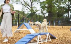 Livemax Resort Izu-Kogen Annex