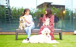 LIVEMAX Resort Izu-Kogen Terrace and Spa