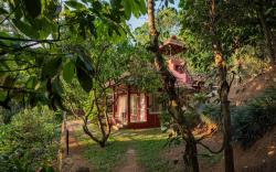 Lushwood Retreat In Munnar