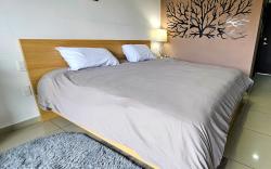 S04 KING BED EXECUTIVE SUITE at ITESM CEM