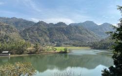 Lake 1 Estate