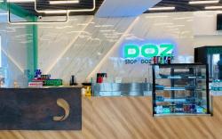 DOZ Lounge